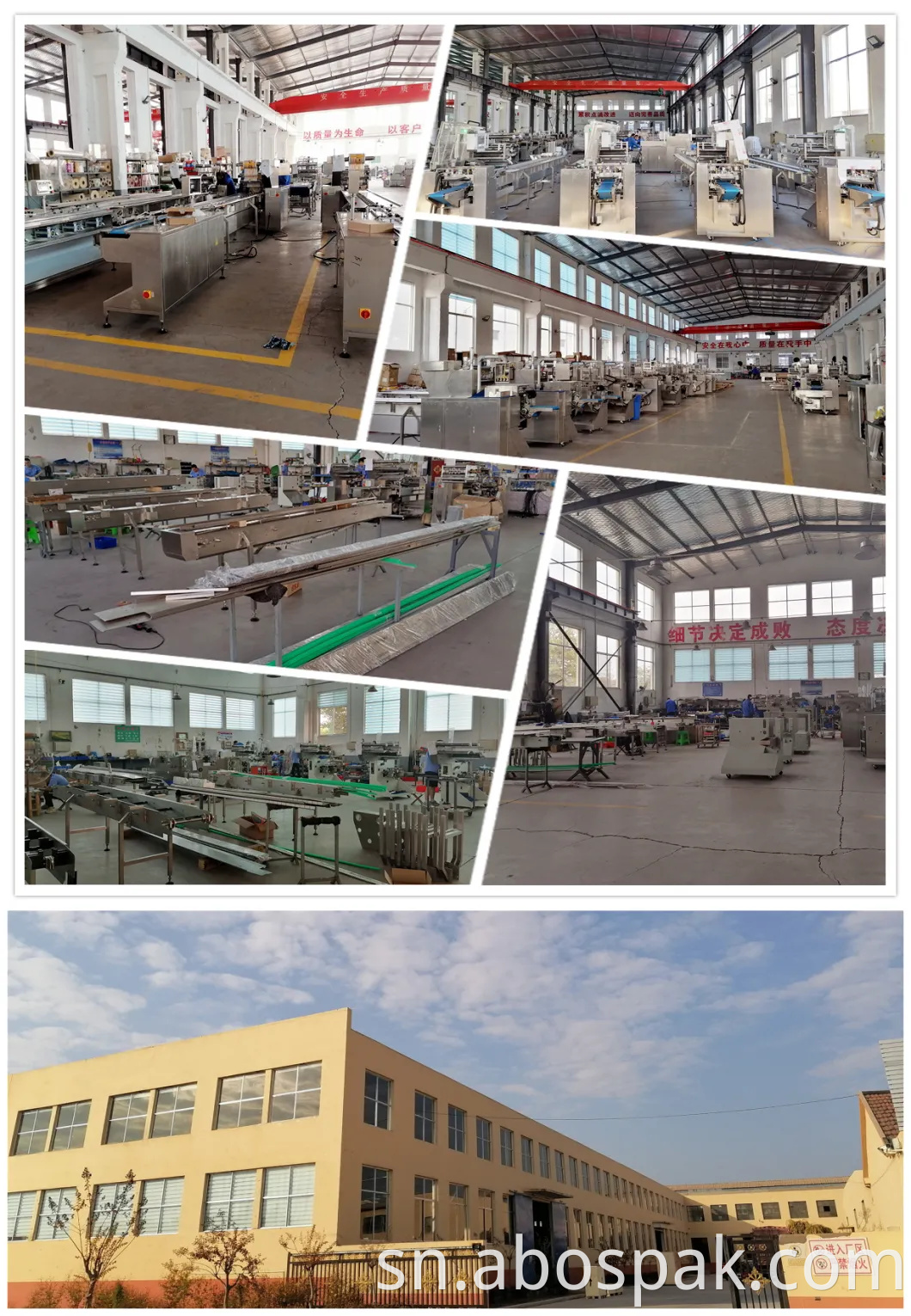 Qingdao Bostar Fresh Fruit Coconut Multi-Function Automatic Horizontal Servo Heat Shrinkable Firimu Shrink Wrapping Packing Machine neTunnel